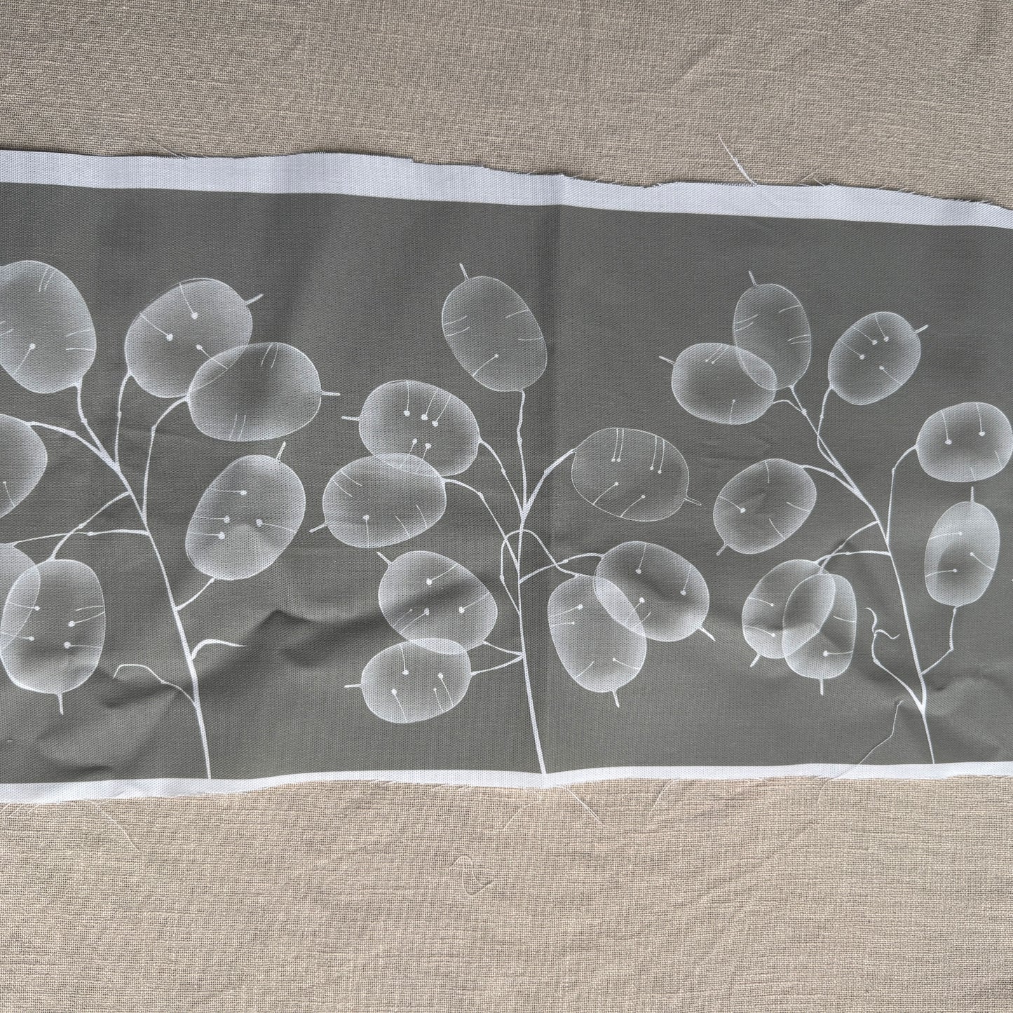 Honesty Seedheads on Dark Grey Fabric panel