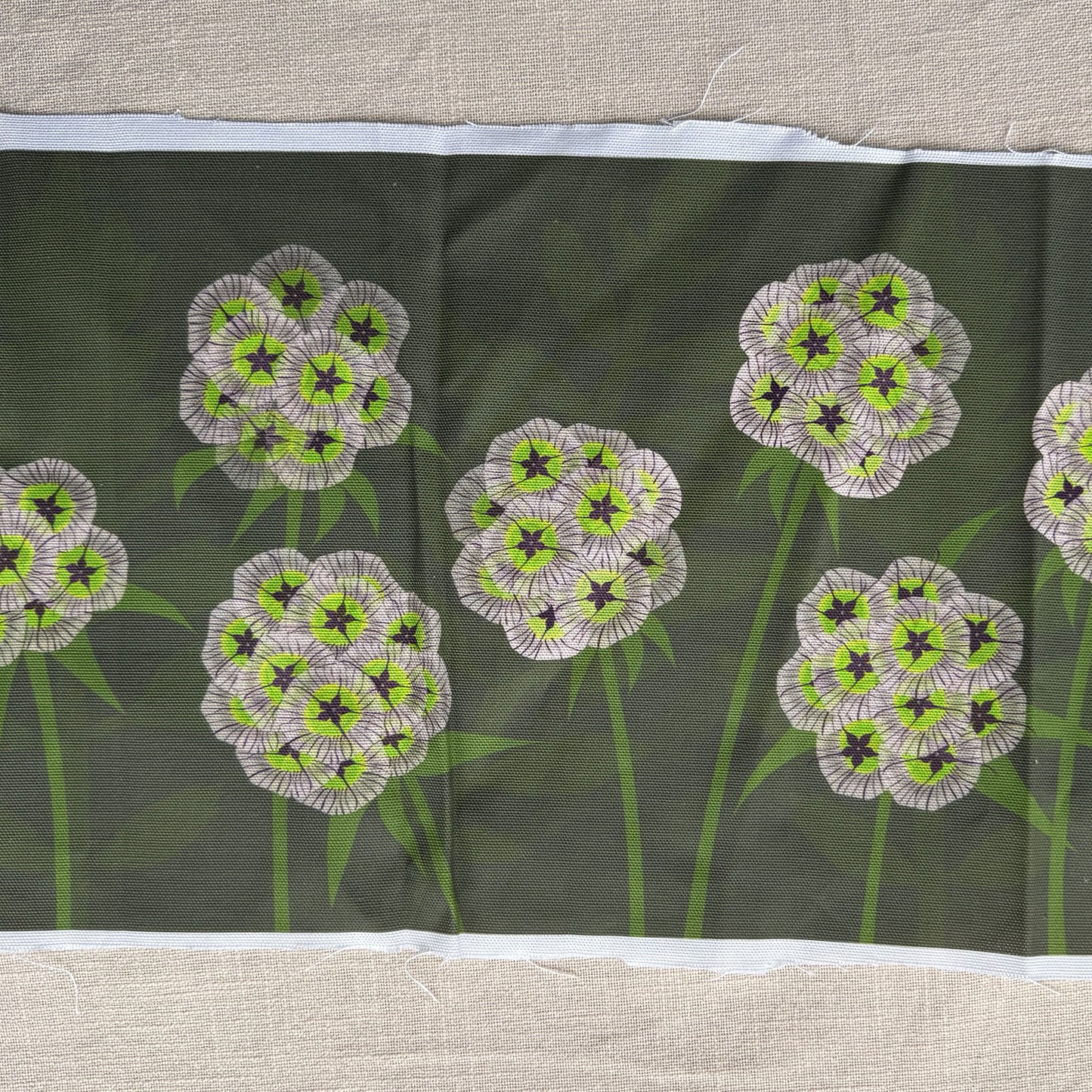 Scabiosa Stellata Ping Pong Fabric panel