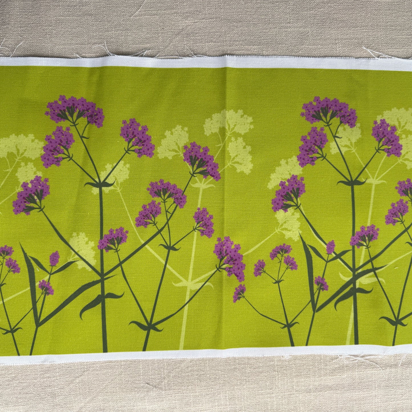 Verbena bonariensis Lime Fabric panel