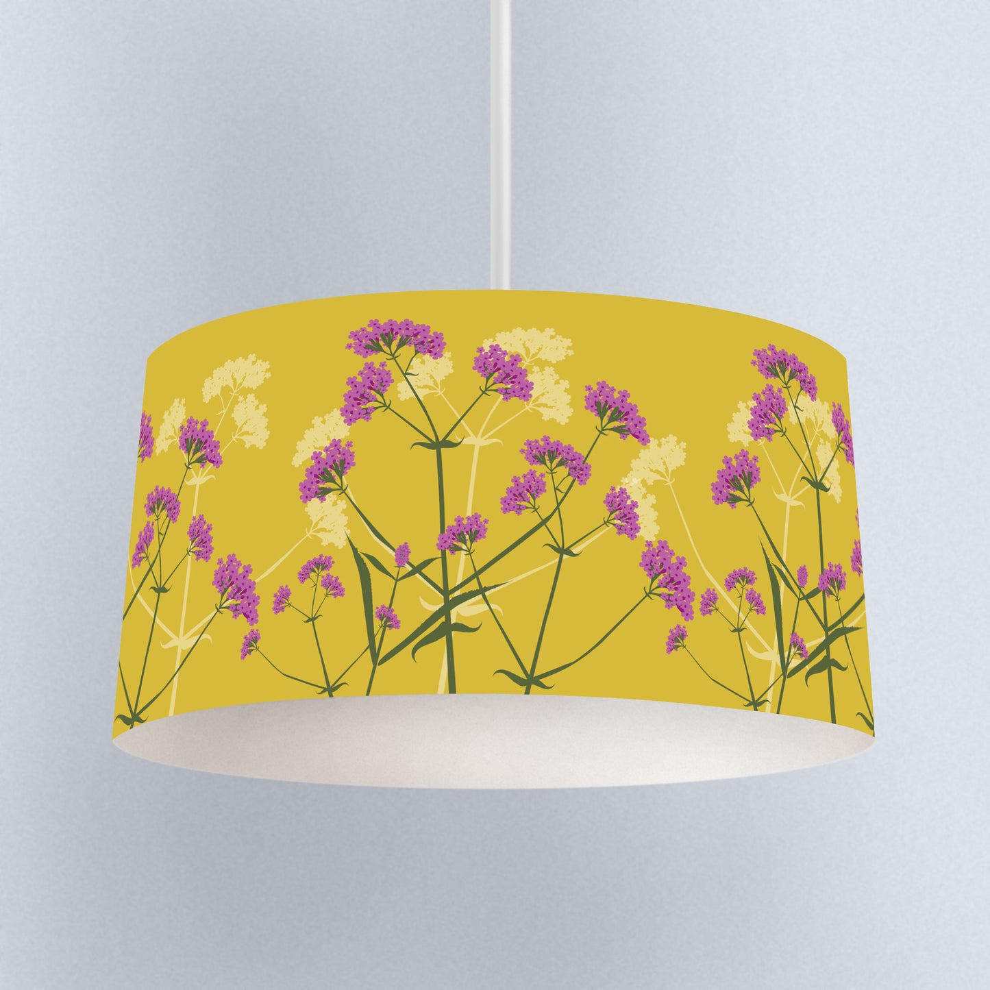 Verbena bonariensis Mustard lampshade