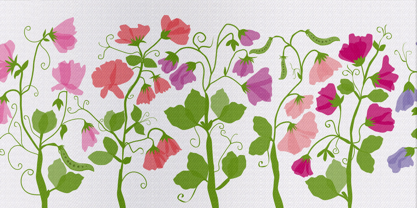 Sweetpeas on White Lampshade