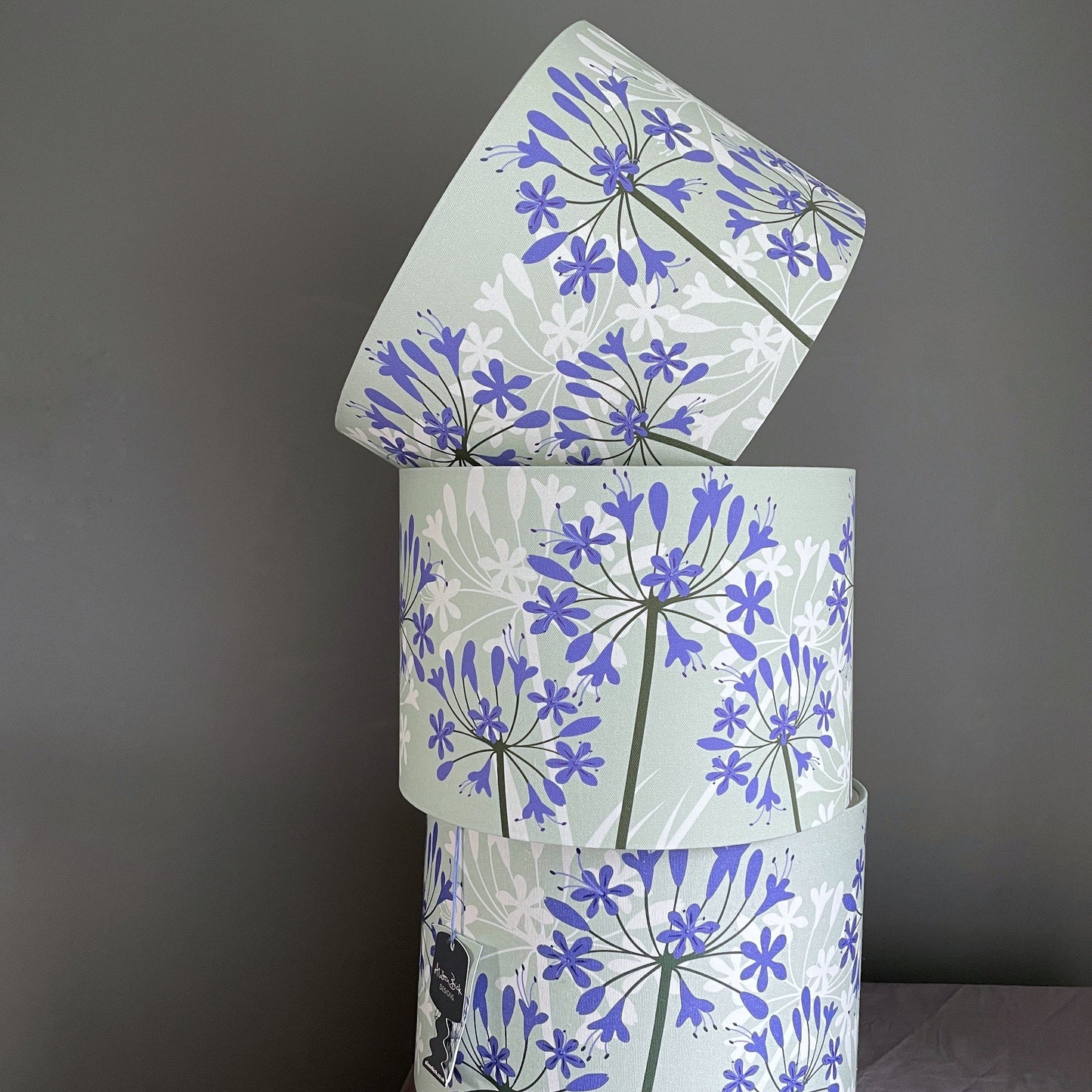 Agapanthus lampshade